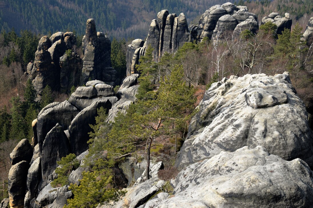 Schrammsteine im Elbsandsteingebirge. Das Elbsandsteingebirge, dessen deutscher Teil auch „Sächsische Schweiz“ genannt wird, ist eine beeindruckende und einzigartige Felslandschaft in Sachsen.