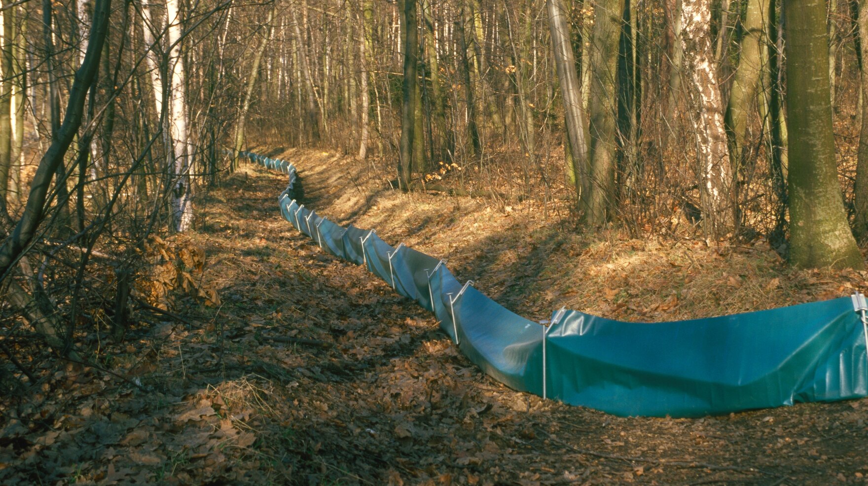 Krötenzaun im Wald