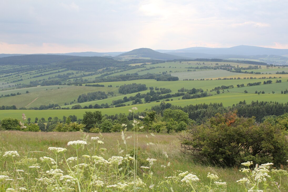 Ganz anders sehen diese artenreichen Bergwiesen am Pöhlberg im Erzgebirge aus. Auch sie assoziiert man mit dem Begriff Landschaft, allerdings ist hier der Einfluss des Menschen stärker erkennbar. Ohne regelmäßige Mahd würden die Wiesen nicht bestehen blei