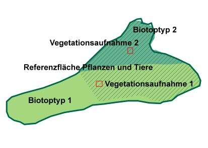 Schema zur Verdeutlichung der Detailuntersuchungsmethodik