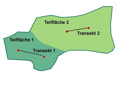 Schema zur Verdeutlichung der Grobuntersuchungsmethodik