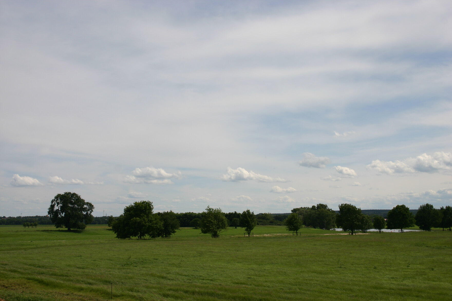 Foto: Archiv Naturschutz LfULG, A. Koch 