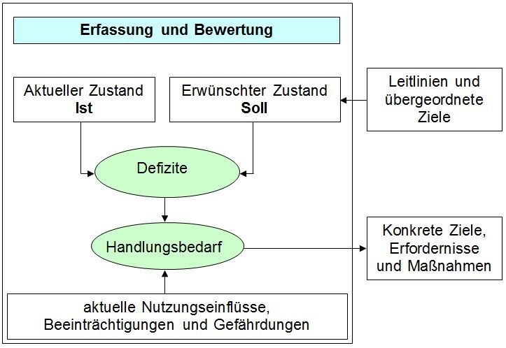 Grafik zu Inhalten Erfassung und Bewertung