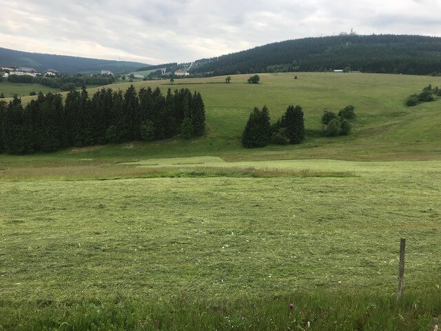 gemähte Wiese mitstehen gelassenem Gras für Braunkehlchen