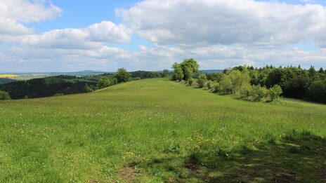 Landschaftsaufnahme mit Steinrücken und Bergwiese