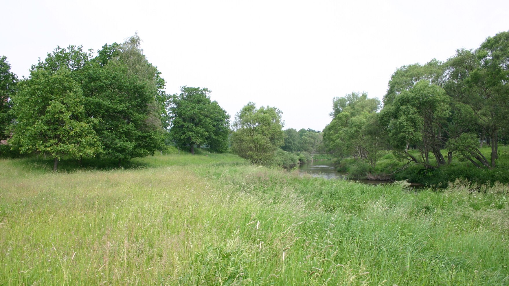 Grünland an der Neiße