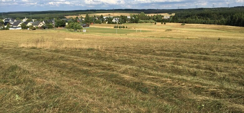 gemähte Grünfläche mit stehen gelassenem Gras