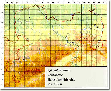 Beispiel einer Verbreitungskarte im Florenatlas